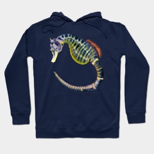 Big-bellied seahorse watercolour painting Hoodie